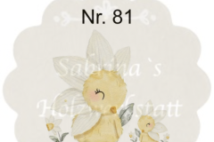 Nr.-81